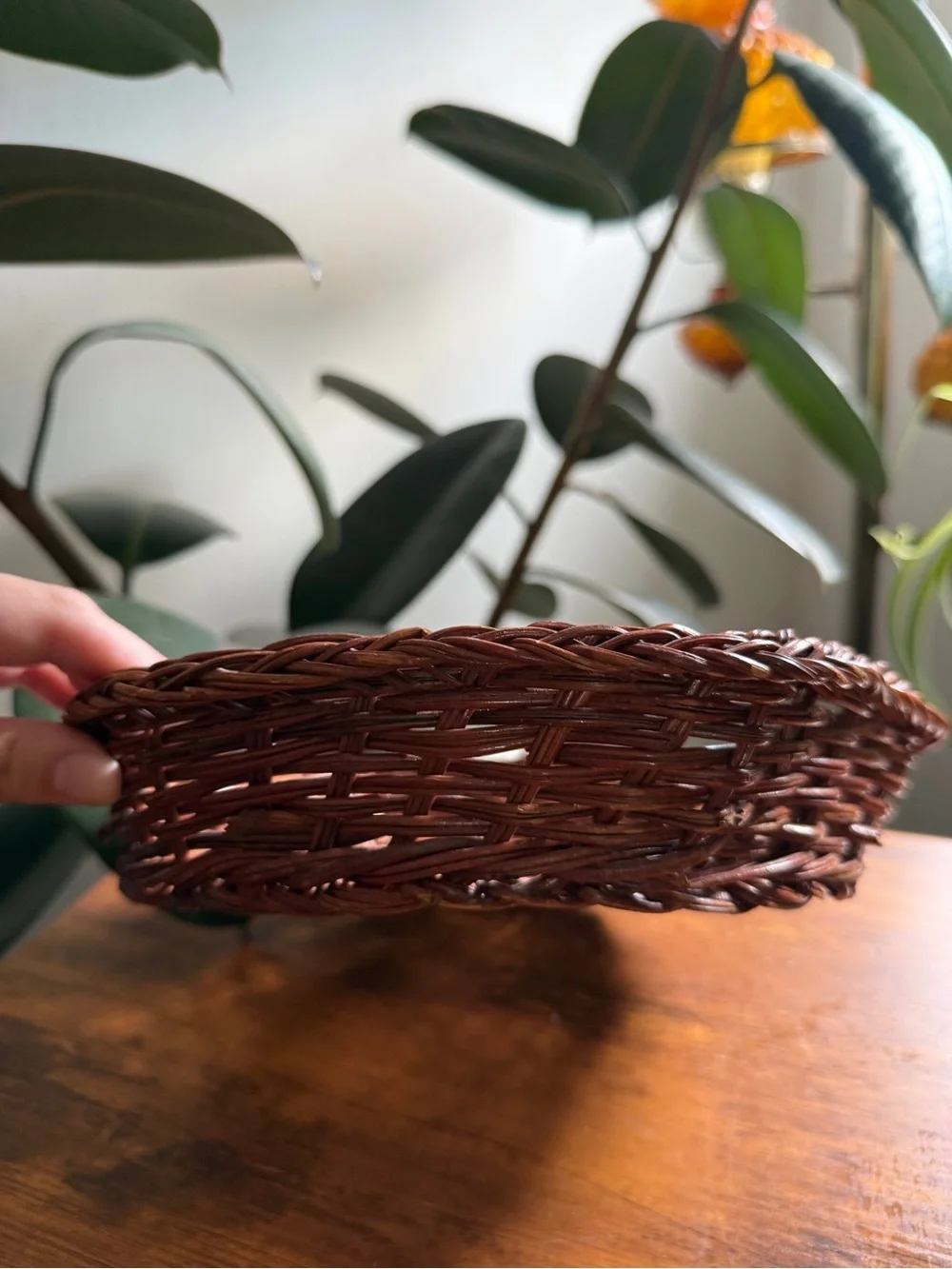 Woven Round hexagon Decorative Basket - Brown